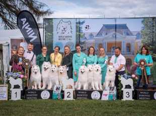 2025 Wsm Potomci Orleansnow